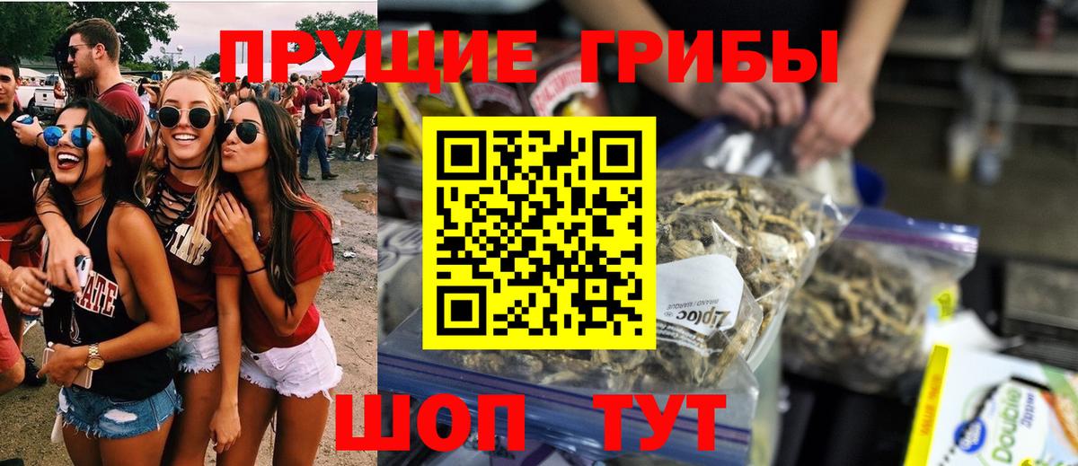 Псилоцибиновые грибы GOLDEN TEACHER Москва