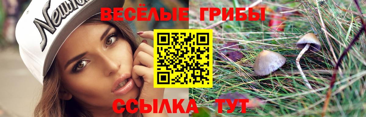 где купить наркотик  Псилоцибиновые грибы мицелий  Вход с VPN  Москва  Галлюциногенные грибы мухоморы 